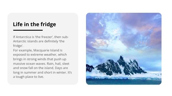 Sub-Antarctic Food Chains Education Presentation — slide 5