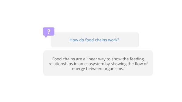 Sub-Antarctic Food Chains Education Presentation — slide 7