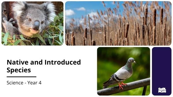 Native and Introduced Species Education Presentation — slide 1
