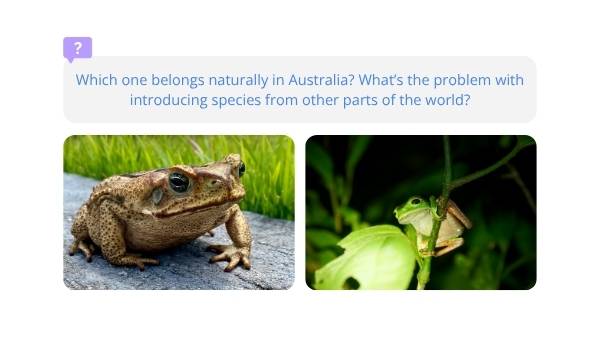 Native and Introduced Species Education Presentation — slide 3