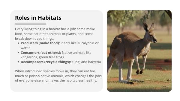 Native and Introduced Species Education Presentation — slide 5