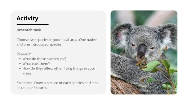 Native and Introduced Species Education Presentation — slide 7