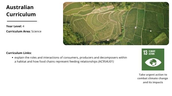 Food Webs in Australia Education Presentation — slide 2