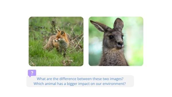 Food Webs in Australia Education Presentation — slide 4