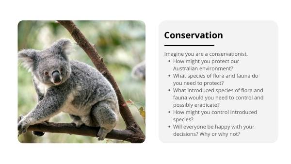 Food Webs in Australia Education Presentation — slide 7