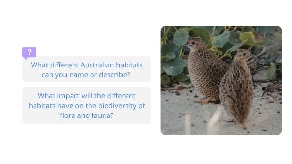 Food Webs in Australia Education Presentation — slide 9