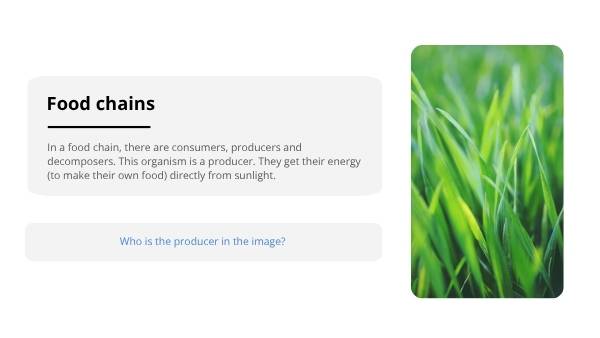 Food Webs in Australia Education Presentation — slide 10