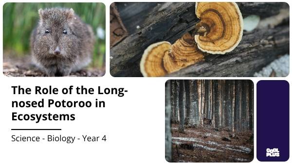 The Role of the Long-nosed Potoroo in Ecosystems Education Presentation — slide 1