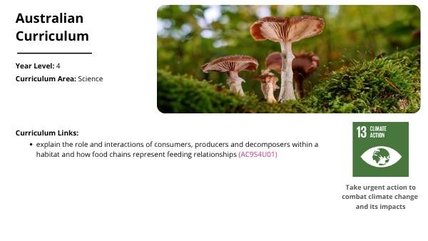 The Role of the Long-nosed Potoroo in Ecosystems Education Presentation — slide 2