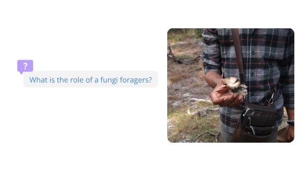 The Role of the Long-nosed Potoroo in Ecosystems Education Presentation — slide 6