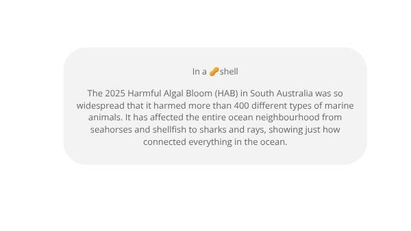 Algal Blooms and Food Chains Education Presentation — slide 3
