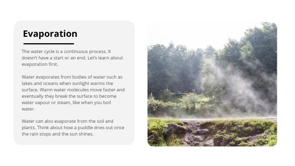 Exploring the Water Cycle Education Presentation — slide 6