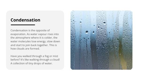 Exploring the Water Cycle Education Presentation — slide 7