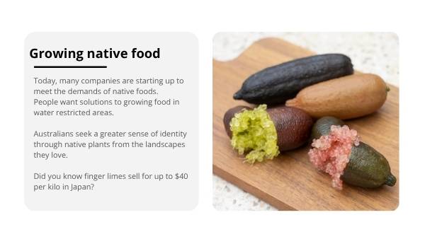 Sustainable Australian Food Systems Education Presentation — slide 11