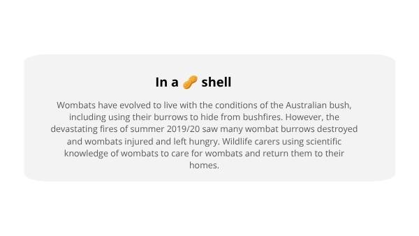 Rescuing Wombats with Scientific Knowledge Education Presentation — slide 3