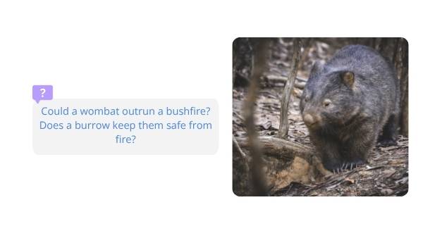 Rescuing Wombats with Scientific Knowledge Education Presentation — slide 5