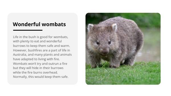 Rescuing Wombats with Scientific Knowledge Education Presentation — slide 6