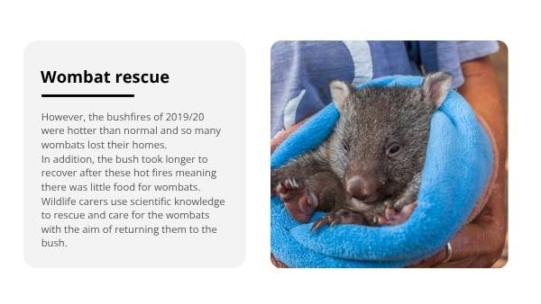 Rescuing Wombats with Scientific Knowledge Education Presentation — slide 7