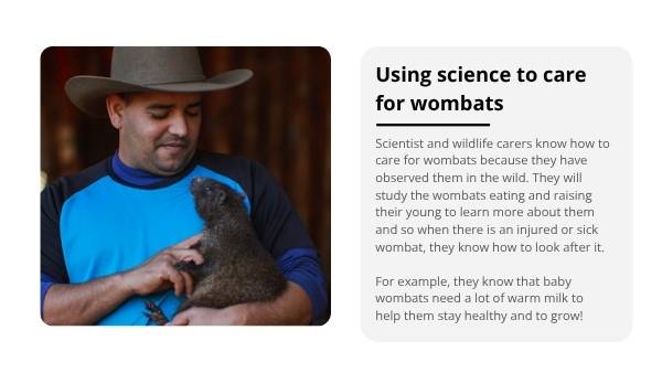 Rescuing Wombats with Scientific Knowledge Education Presentation — slide 10