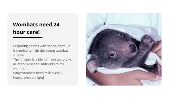 Rescuing Wombats with Scientific Knowledge Education Presentation — slide 11