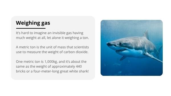 Invisible Carbon Education Presentation — slide 6