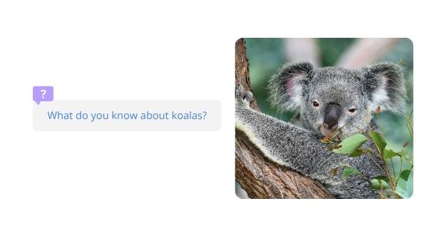 Deep Dive: Koalas Education Presentation — slide 3