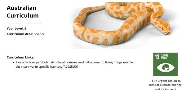 Exploring Animal Adaptations Education Presentations — slide 2