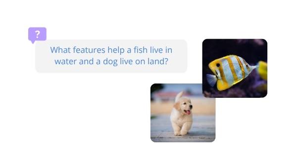 Exploring Animal Adaptations Education Presentations — slide 3