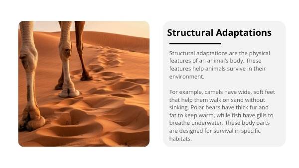 Exploring Animal Adaptations Education Presentations — slide 5