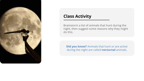 Exploring Animal Adaptations Education Presentations — slide 7