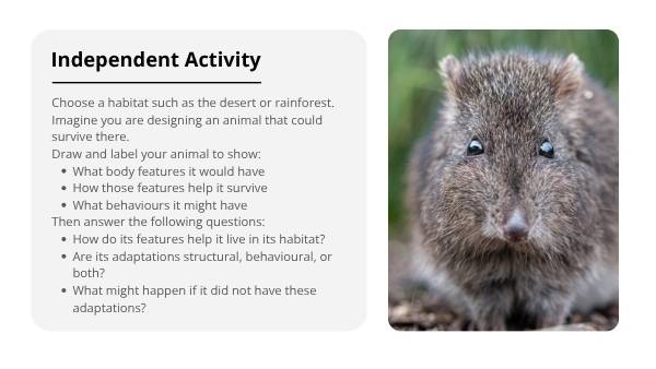 Exploring Animal Adaptations Education Presentations — slide 8