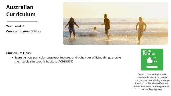 Investigating Hooded Plovers Education Presentation — slide 2