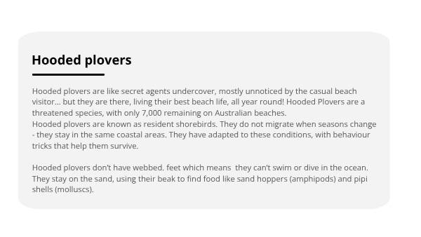 Investigating Hooded Plovers Education Presentation — slide 5