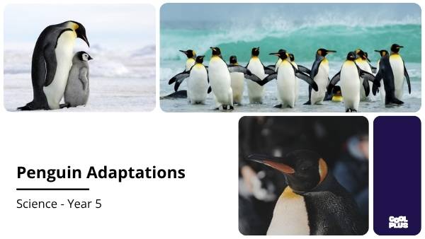 Penguin Adaptations Education Presentation — slide 1