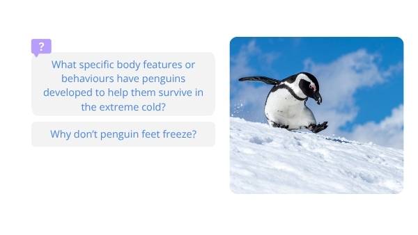 Penguin Adaptations Education Presentation — slide 5