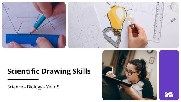 Scientific Drawing Skills Education Presentation — slide 1