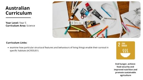 Scientific Drawing Skills Education Presentation — slide 2