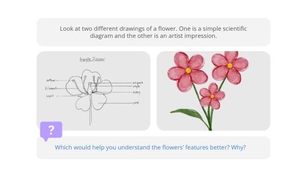 Scientific Drawing Skills Education Presentation — slide 3