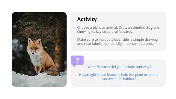 Scientific Drawing Skills Education Presentation — slide 7