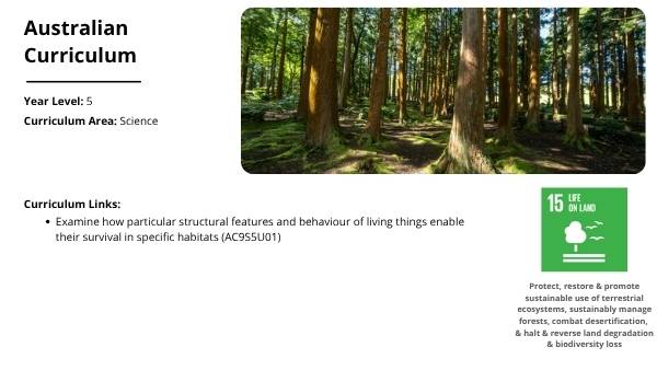 Nature Dog Detectives Education Presentation — slide 2