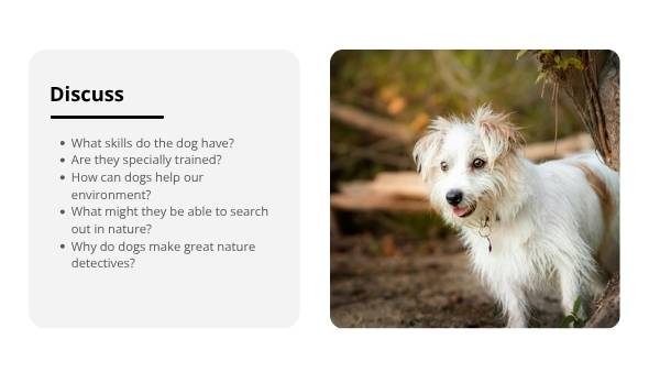 Nature Dog Detectives Education Presentation — slide 3