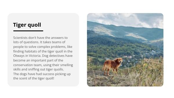 Nature Dog Detectives Education Presentation — slide 8