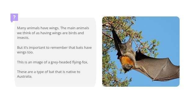 Uses for Wings Education Presentation — slide 5