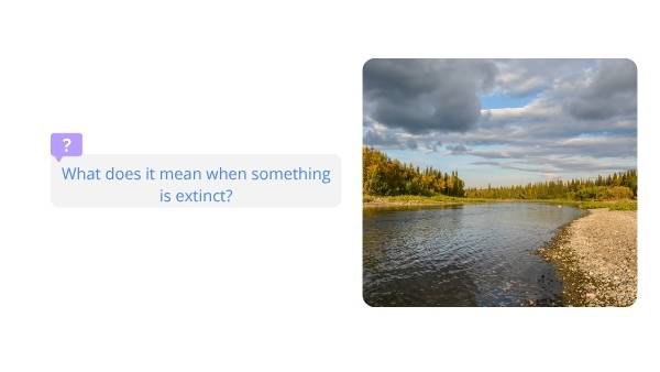 Back from the Brink Education Presentation — slide 3