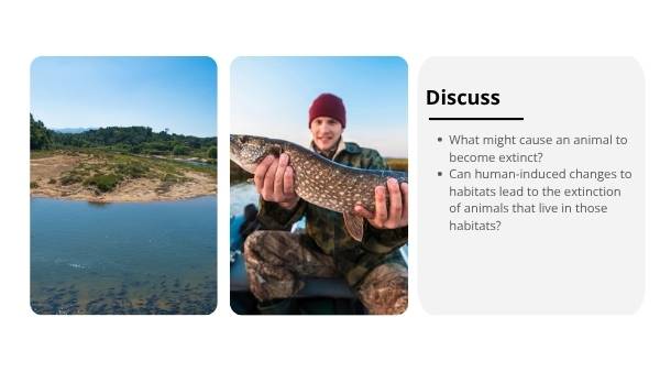 Back from the Brink Education Presentation — slide 4