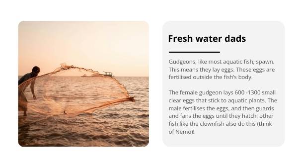 Back from the Brink Education Presentation — slide 7