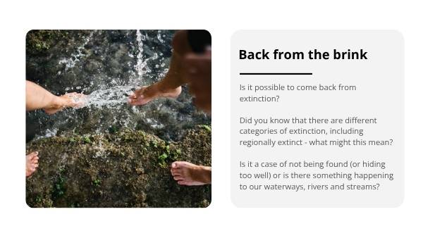 Back from the Brink Education Presentation — slide 9