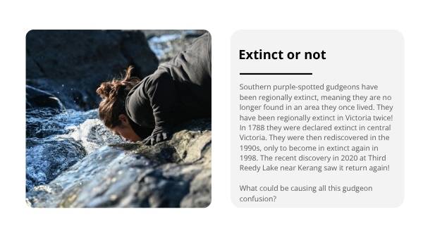 Back from the Brink Education Presentation — slide 10