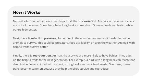 How Animals Adapt Education Presentation — slide 5