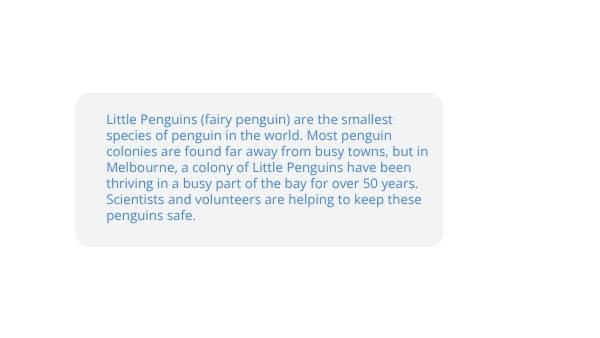 Penguin Colonies in the City Education Presentation — slide 3